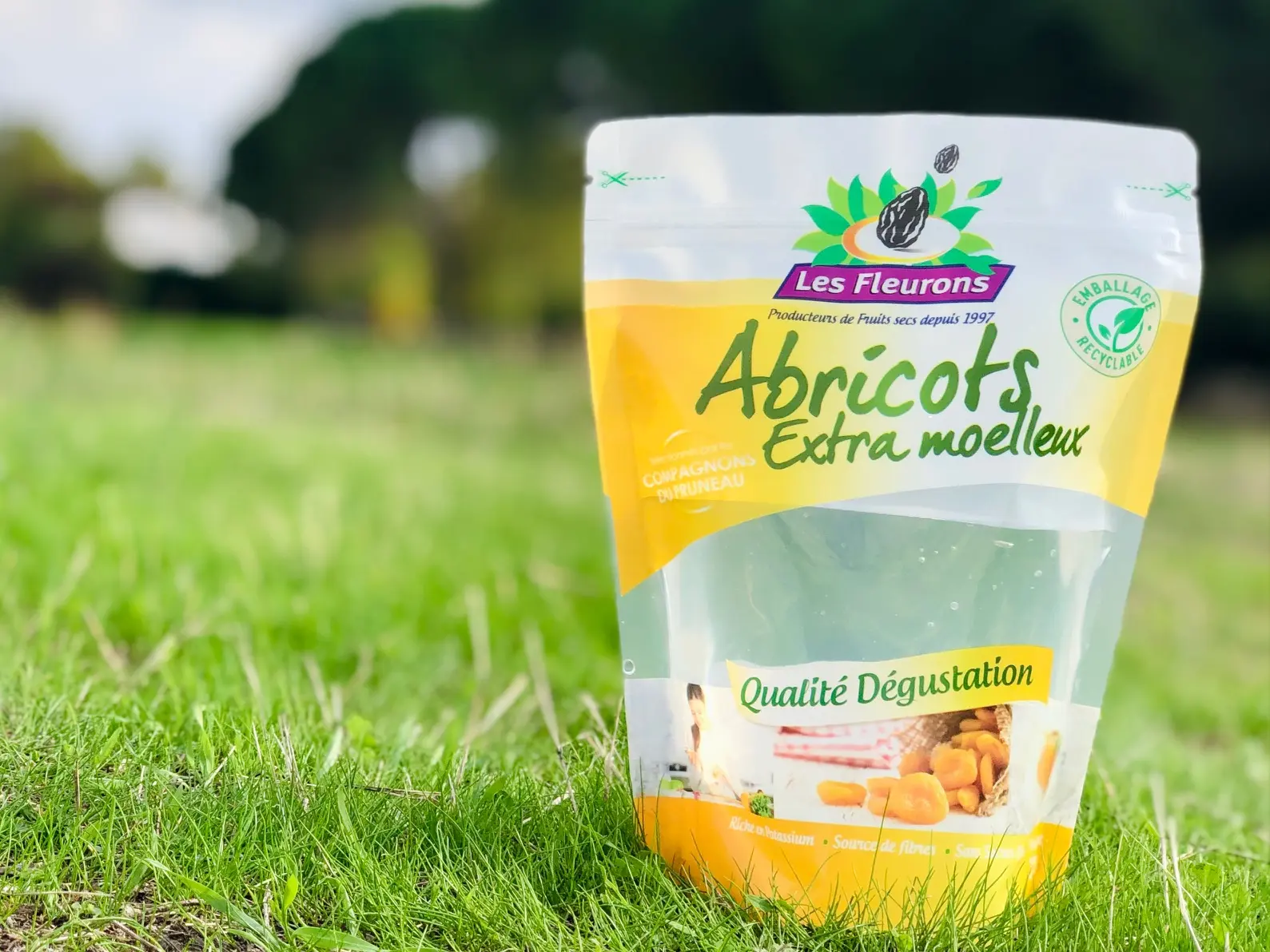 Doypack pasteurisable fruits secs